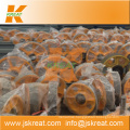 Elevator Parts|Elevator Cast Iron Deflector Sheave Manufacturer|rope sheave pulley